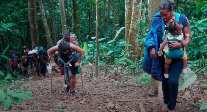 Más de 76 venezolanos han desaparecido en la selva del Darién