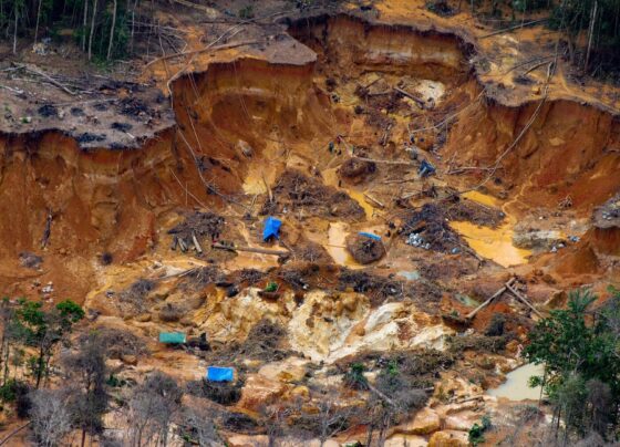 mineros ilegales