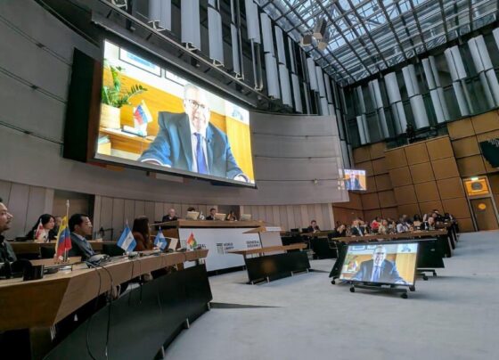 borrar la civilización