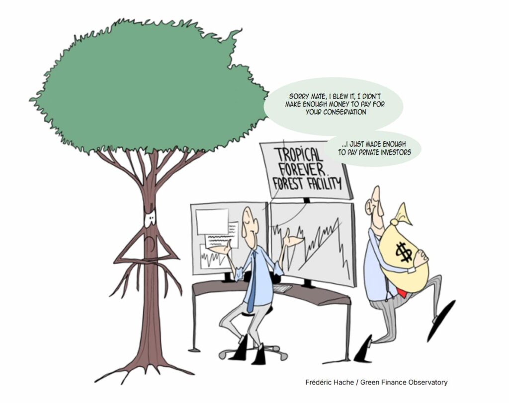 fondo selvas tropicales