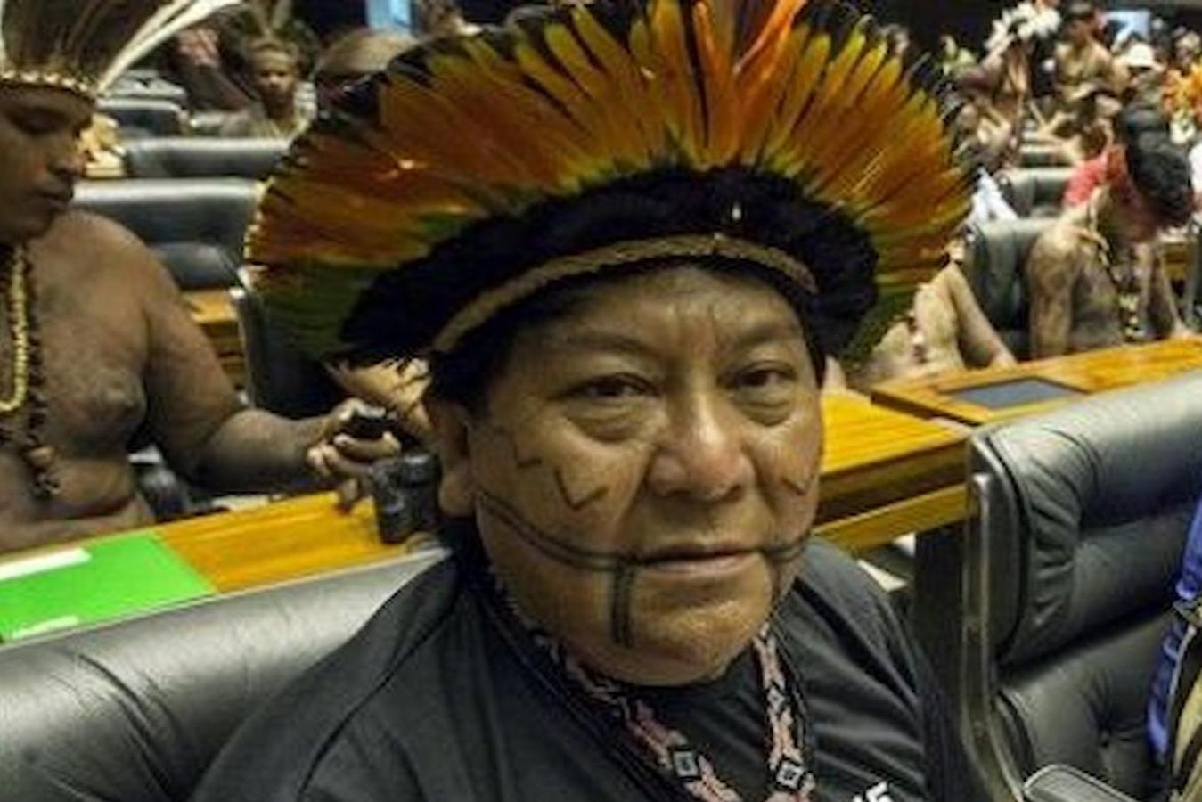 El fondo de la COP30 para los bosques tropicales sería más deuda y deforestación