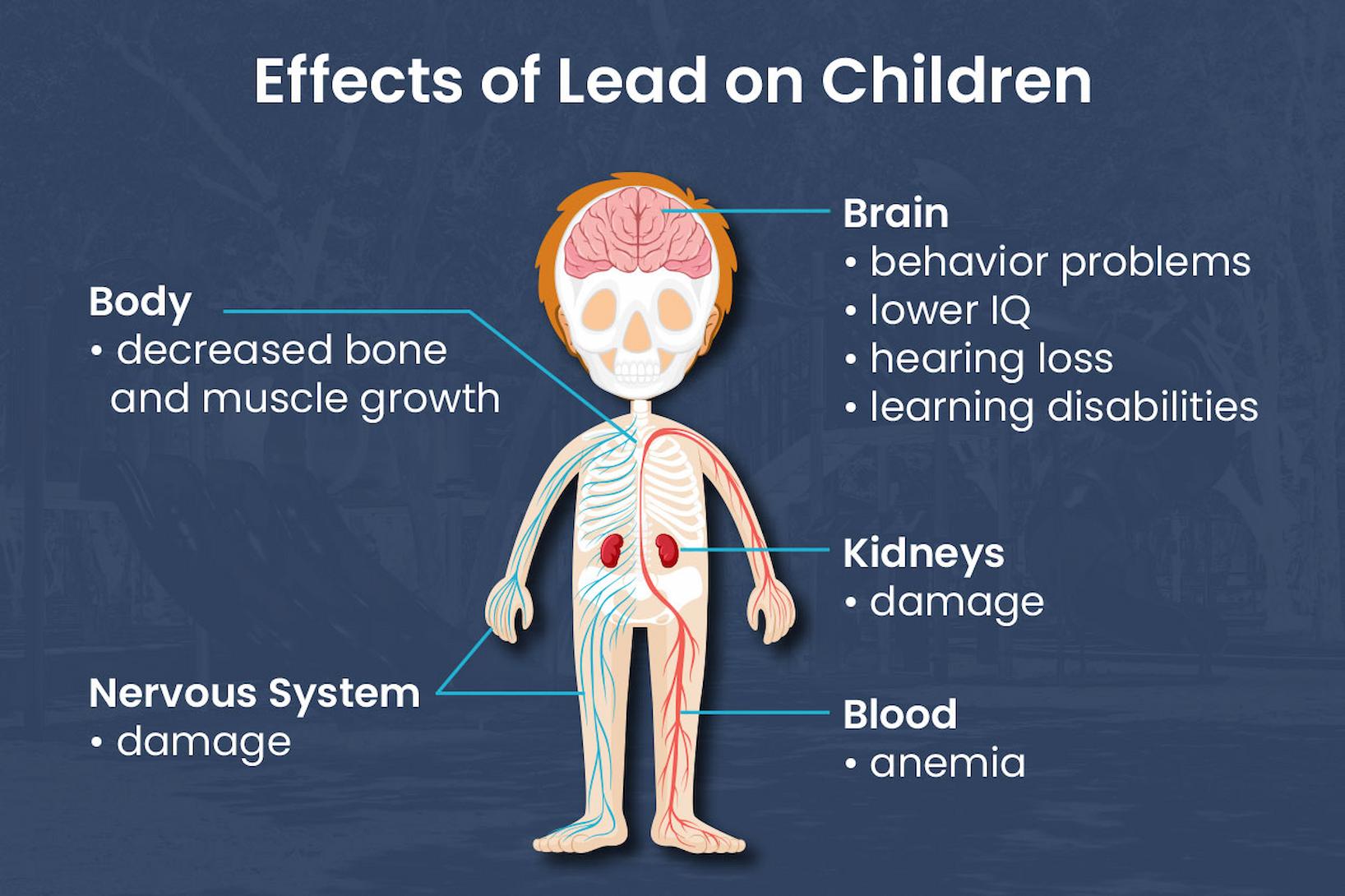 effects of lead on children