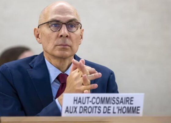 derechos humanos ONU