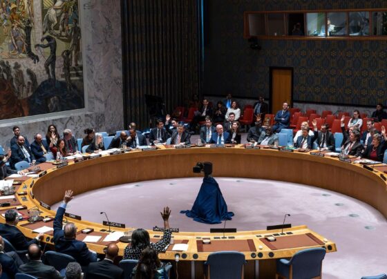 Consejo de Seguridad