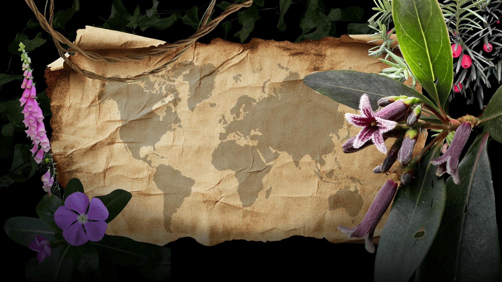 Cartografía de la relación humana con las plantas medicinales