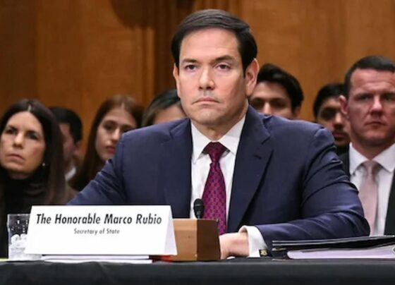 Rubio Marco