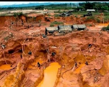 ecocidio Arco Minero