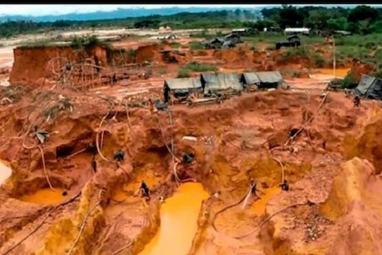 ecocidio Arco Minero