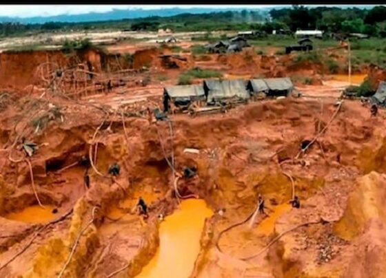 ecocidio Arco Minero