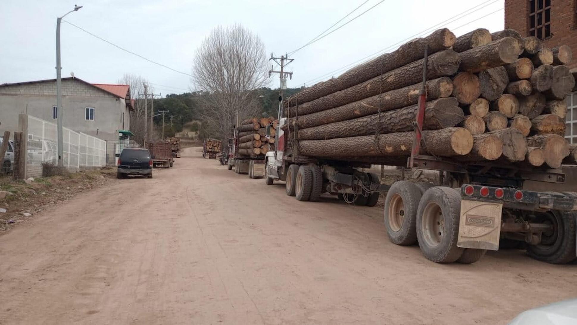 Crimen organizado desplaza comunidades indígenas en México para avanzar en minería y talas ilegales