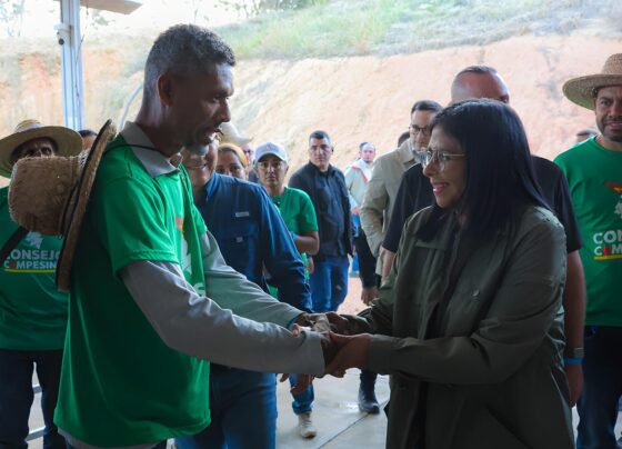 transición tutelada