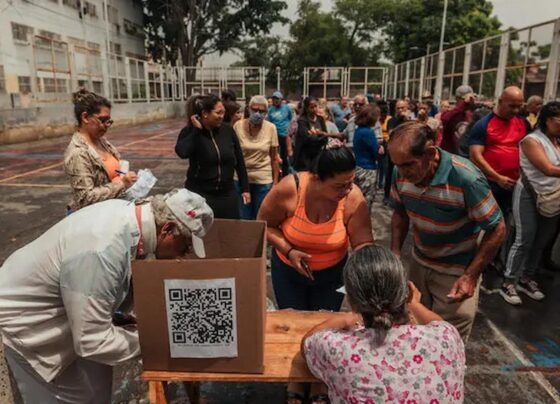 elecciones